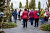 mange-ville-h-re-om-det-st-rste-skattefund-i-danmark