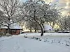 Sneklædte træer og ældre huse i et vinterlandskab med stråtag og sne på jorden.