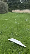 Hvid aflang genstand ligger i græsset foran buske og højt græs.
