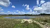 Lille sø med sandbred, grøn vegetation og skyer på en blå sommerhimmel.